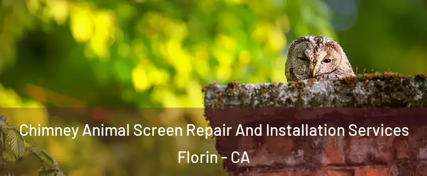  Chimney Animal Screen Repair And Installation Services Florin - CA