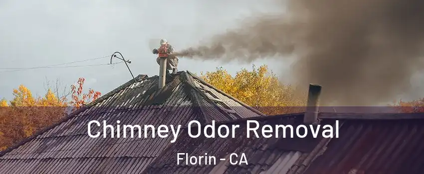  Chimney Odor Removal Florin - CA