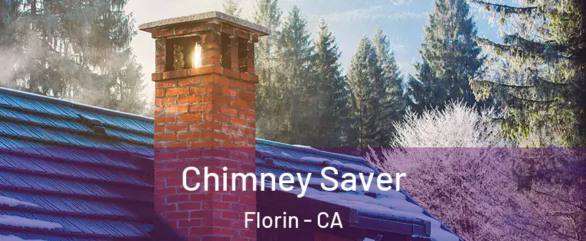  Chimney Saver Florin - CA