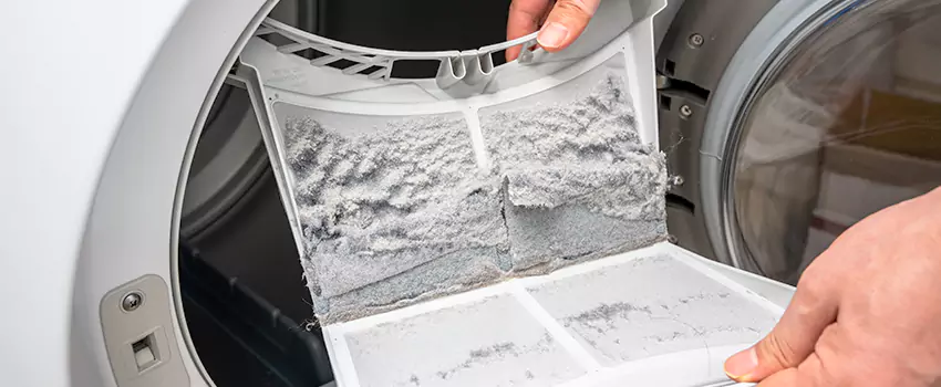 Best Dryer Lint Removal Company in Florin, California