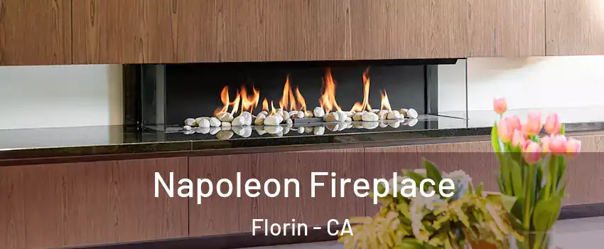  Napoleon Fireplace Florin - CA